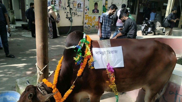 জবিতে ছাত্রলীগ নেতাদের নামে ‘গরুভোজ’