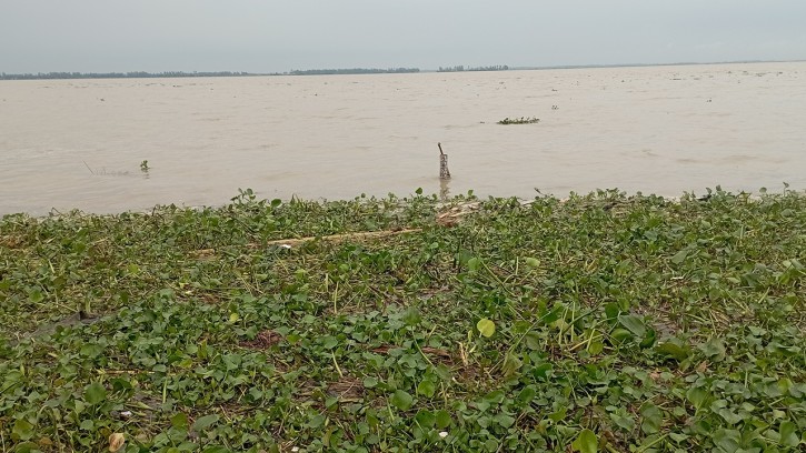 যমুনায় দ্রুত বাড়ছে পানি, প্লাবিত নিম্নভূমি