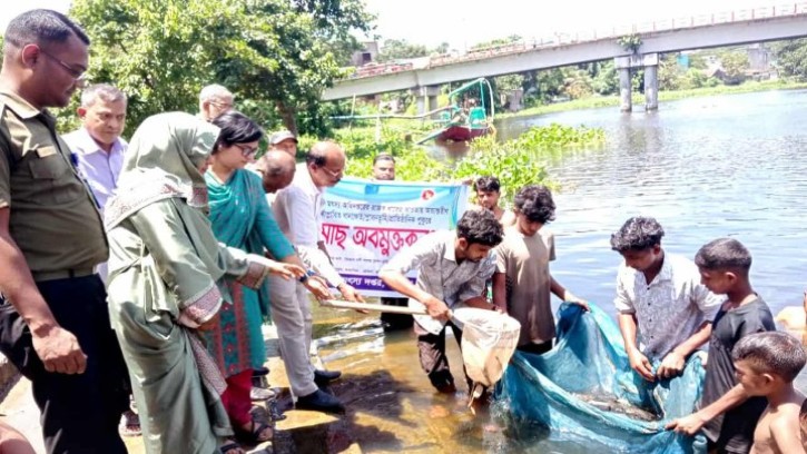 হেমনায় উন্মুক্ত জলাশয়ে মাছের পোনা অবমুক্ত