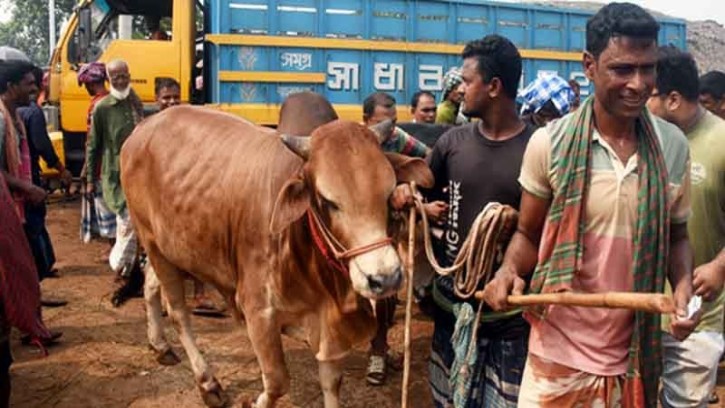 গরুবাহী গাড়ি আটকে চাঁদাবাজিতে বরখাস্ত ৫ পুলিশ